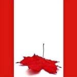 Canadian Report Profile Picture