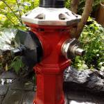 Fire Hydrants Profile Picture
