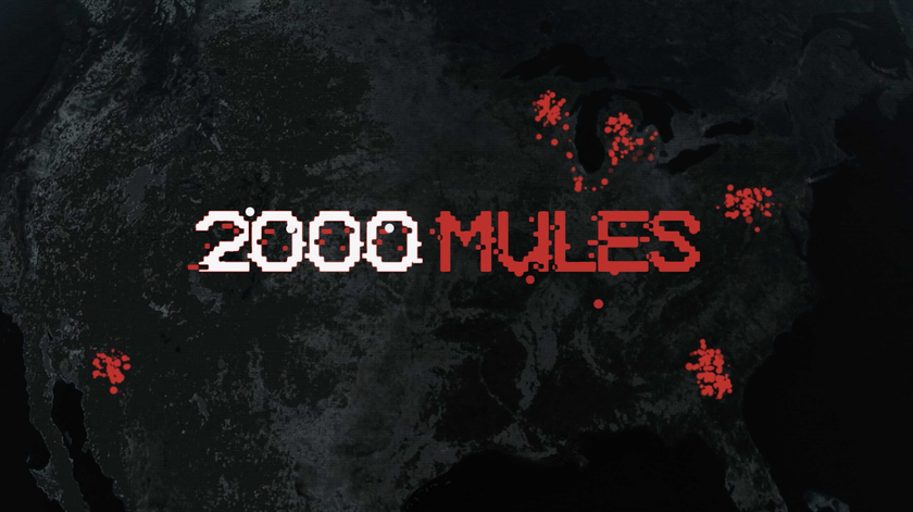 Shared post - 2000 Mules