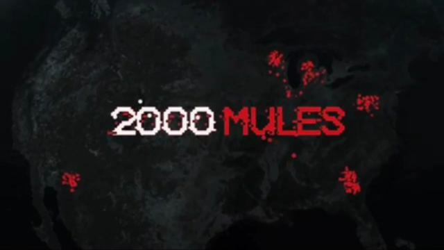 2000 MULES - FULL DOCUMENTARY